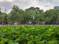 -四川大学(望江校区)