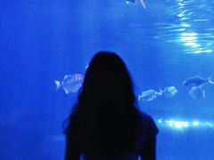 -重庆欢乐海底世界
