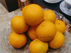 -东湖印象汉寿特色甲鱼钵子菜(渔人码头店)