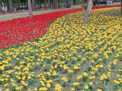 -长春公园(普阳街道)