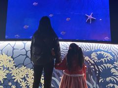 -沈阳海洋探索中心