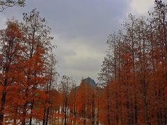 -南宁花花大世界景区