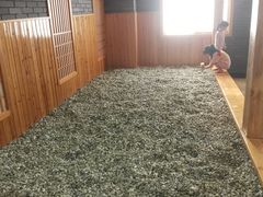 -金沙汤泉·足道洗浴汗蒸
