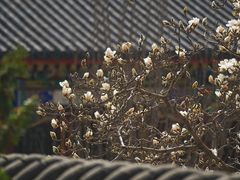 -北海公园