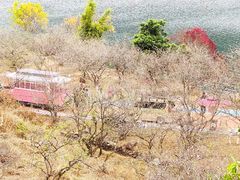 -广州市流溪河国家森林公园