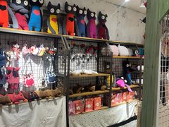 -猫咪博物馆(顶澳仔猫街店)