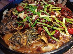 -老板恋上鱼(恒隆广场店)