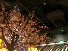 -绿茶餐厅(昌平悦荟店)