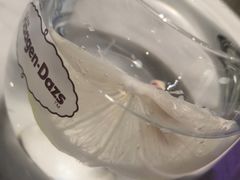 -哈根达斯(虹口店)