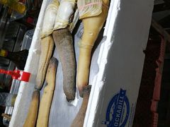 -蚝专家(北滘店)