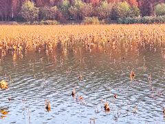 -云龙湖旅游景区