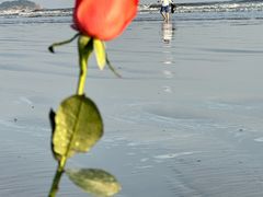 -珠海金沙滩