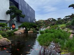 -罗红摄影艺术馆