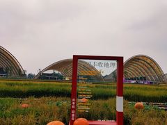 -中国天府农业博览园