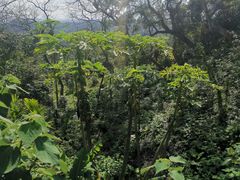 -海口火山口国家地质公园