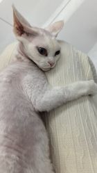 -熙.Hair 丨专注女子中长发丨