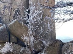 -崂山巨峰游览区