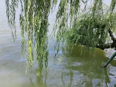 -东湖听涛景区
