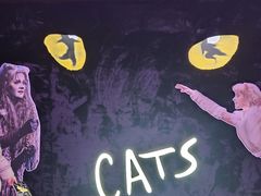 -交通银行前滩31演艺中心