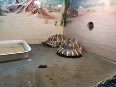 -上海昆虫博物馆