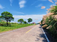 -长沙黑麋峰国家森林公园