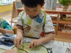 -乐融国际幼儿园(四季青校区)