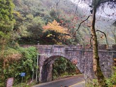 -娄山关景区