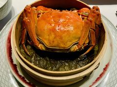 -子福慧(虹桥店)