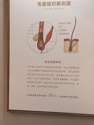 -熙朵美学植发连锁