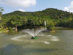 -呀诺达热带雨林