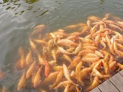 -枫香湖儿童公园