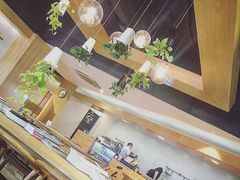 -柴务处·柴犬主题狗咖