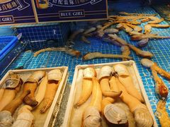 -驻海渔市(置信店)