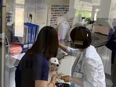 -喜多萌中农锦绣动物医院24H·猫科·牙科MRI·CT