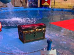 -烟台海昌鲸鲨海洋公园