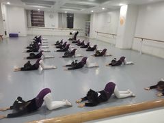 -西安小天鹅艺术团(金花路校区)