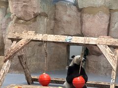 -无锡动物园·太湖欢乐园