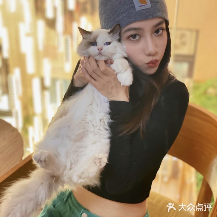 ❗️西安首家独栋别墅猫咖❗️🐈大唐御猫馆🎀