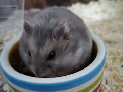 -龙猫仔乐园(惠福东路店)