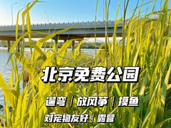 -绿堤公园