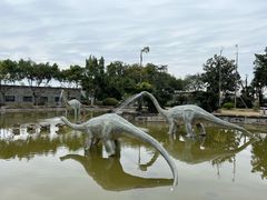 -自贡恐龙博物馆