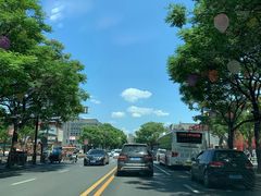 -唐城墙遗址公园