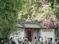 -深圳国际园林花卉博览园