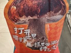 -芸山季·云南山珍菌火锅(南翔印象城MEGA店)