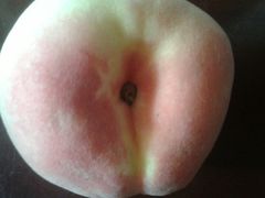 -PAGODA百果园(湛江城市美林店)