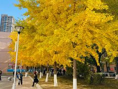 -辽宁大学(崇山校区)