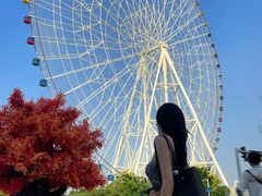 -南昌之星摩天轮