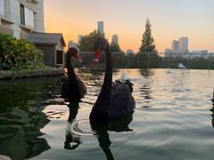 -行者书屋大堂吧 ·下午茶(南京圣和府邸酒店)