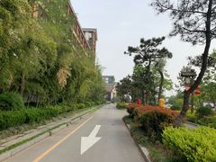 -观唐（国际）度假村温泉