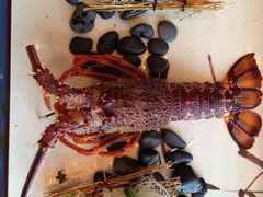 -活伊势龙虾料理 中纳言(千日前味乐馆店)